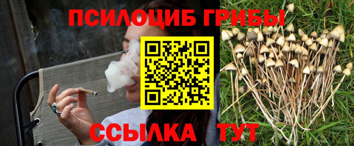 Галлюциногенные грибы ЛСД Советская Гавань